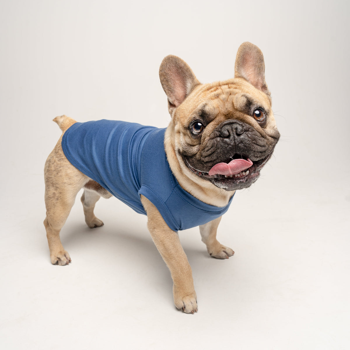 Dog Tees
