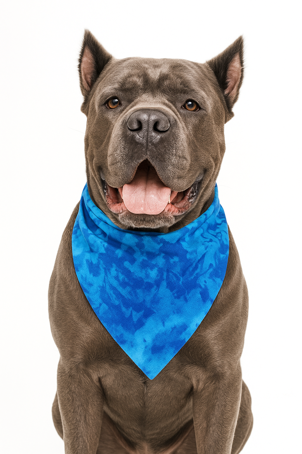 Royal Tie-Dye Dog Bandana | 100% Cotton Blank | One Size