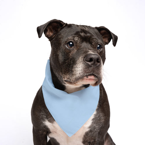 Baby Blue Dog Bandana | 100% Cotton Blank | XS & One Size