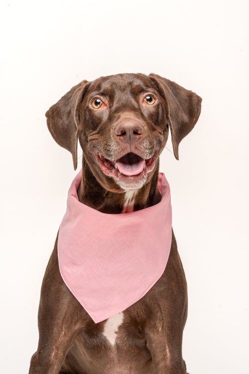 Baby Pink Dog Bandana | 100% Cotton Blank | XS & One Size