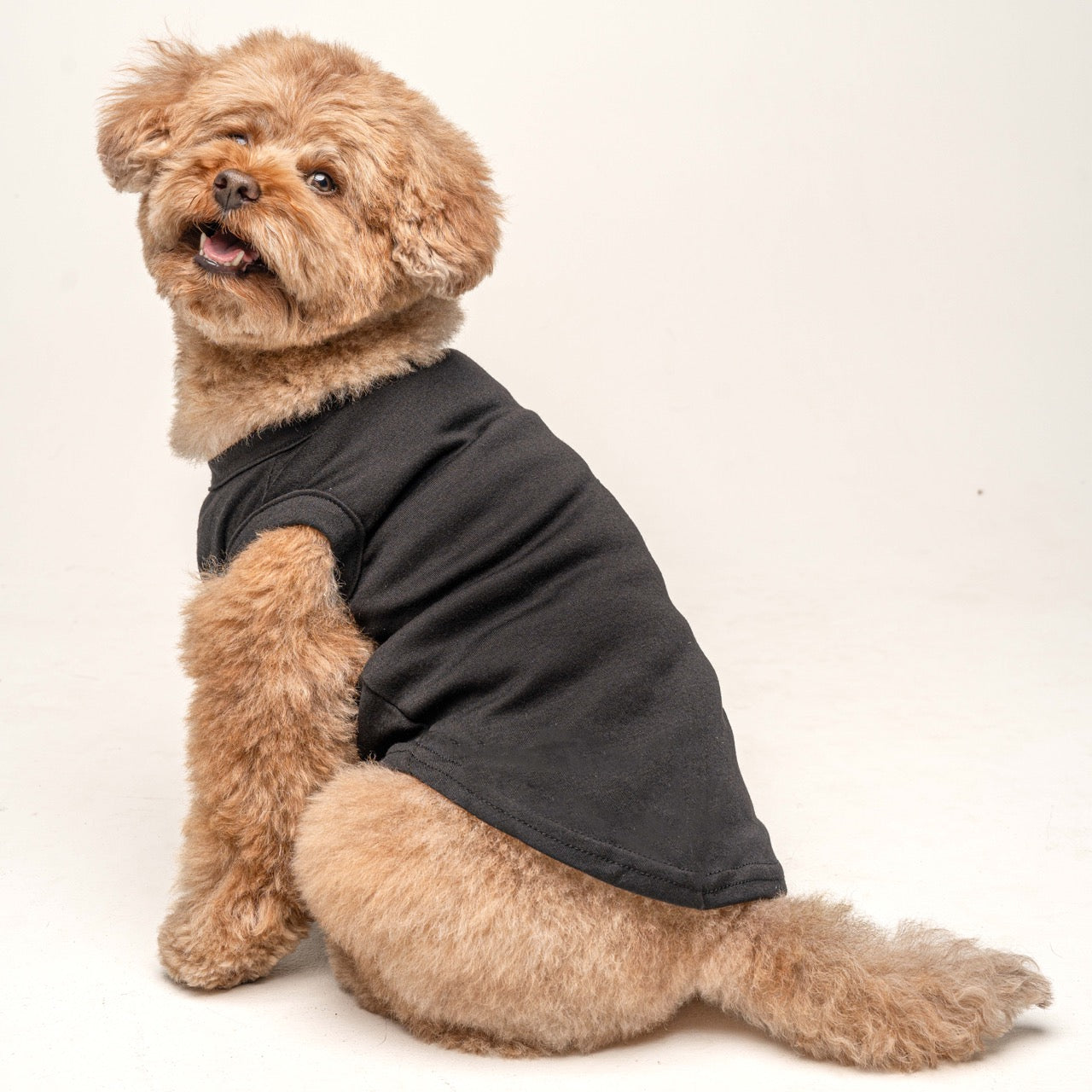 Black Dog Tee Shirt | 100% Cotton Blank | XS-6XL