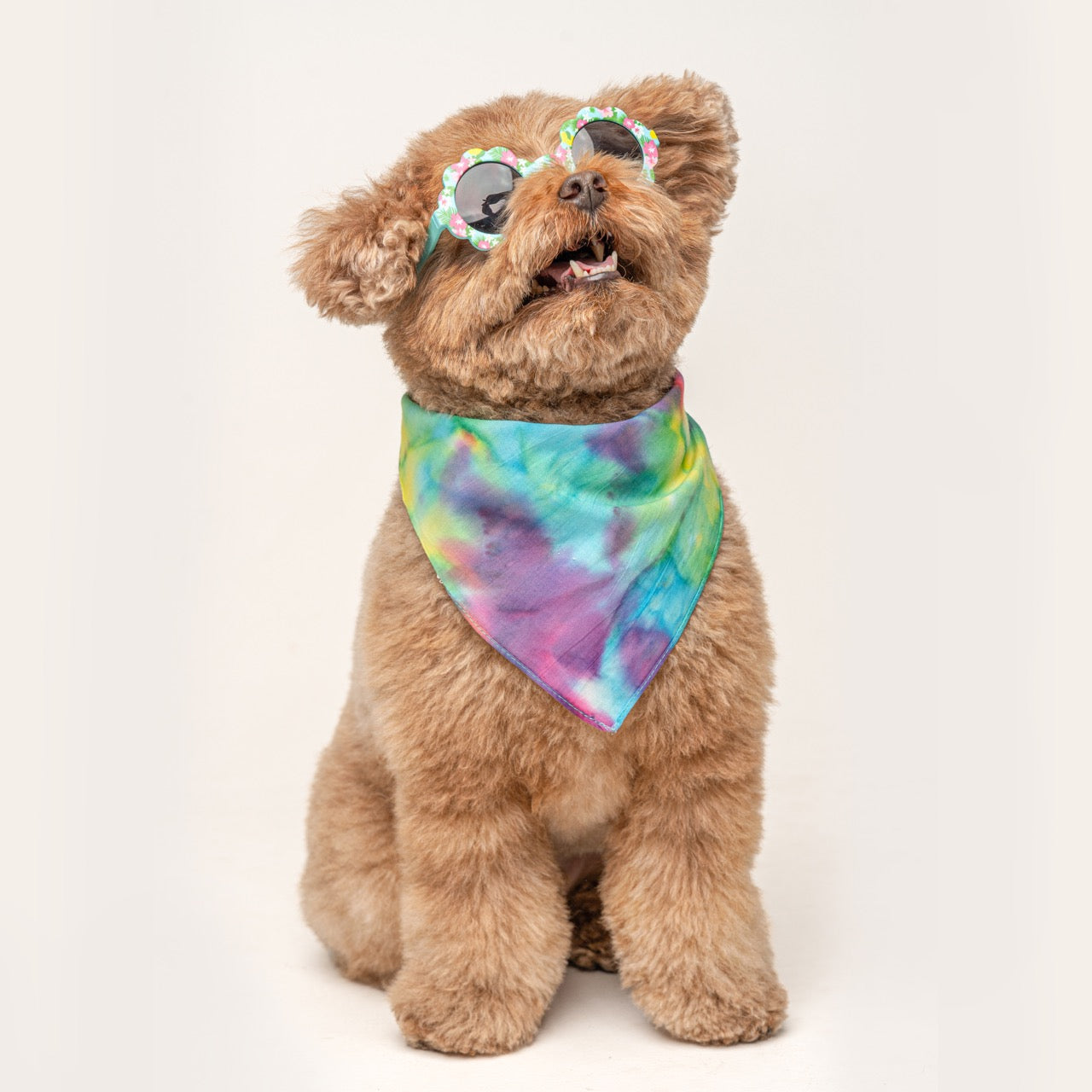 Rainbow Tie-Dye Dog Bandana | 100% Cotton Blank | One Size