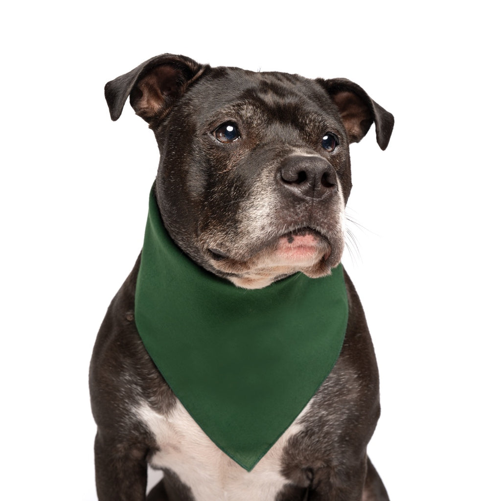 Dark Green Dog Bandana | 100% Cotton Blank | One Size