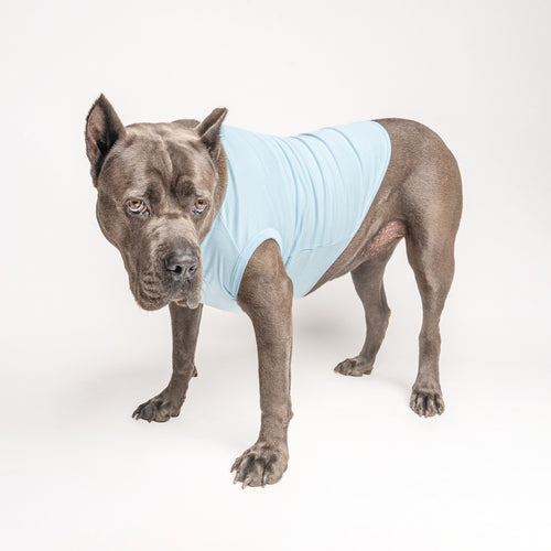 Baby Blue Dog Tee Shirt | 100% Cotton Blank | Sizes XS–6XL