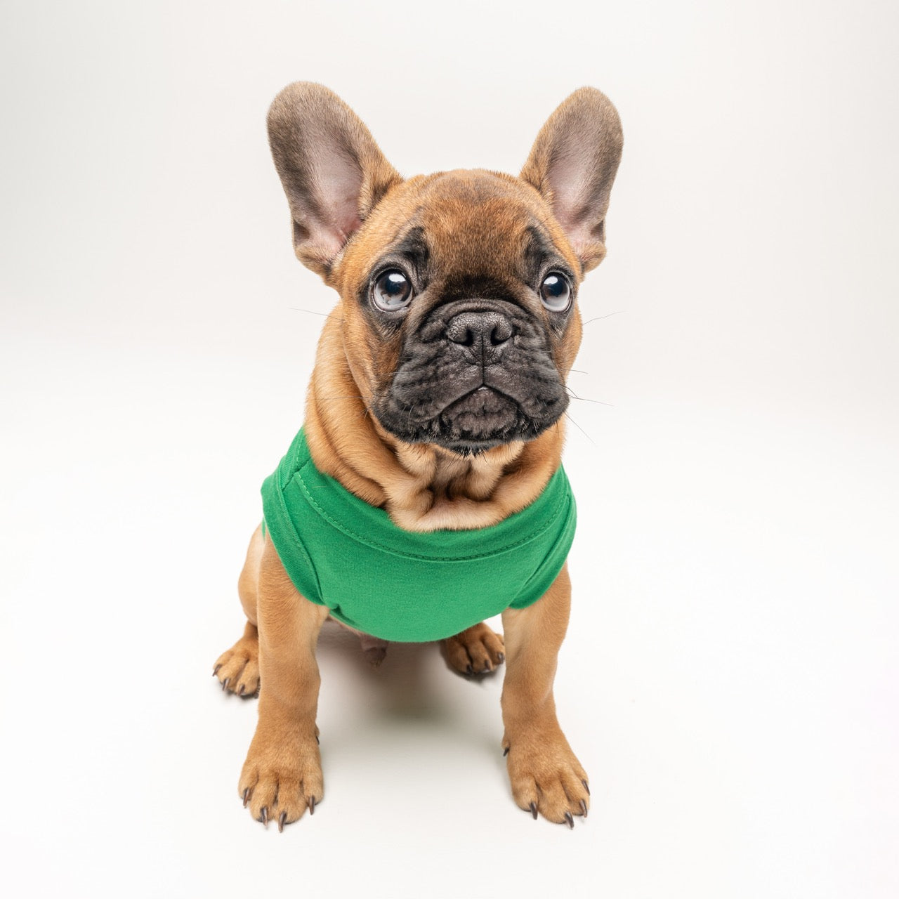Green Dog Tee Shirt | 100% Cotton Blank | XS-6XL