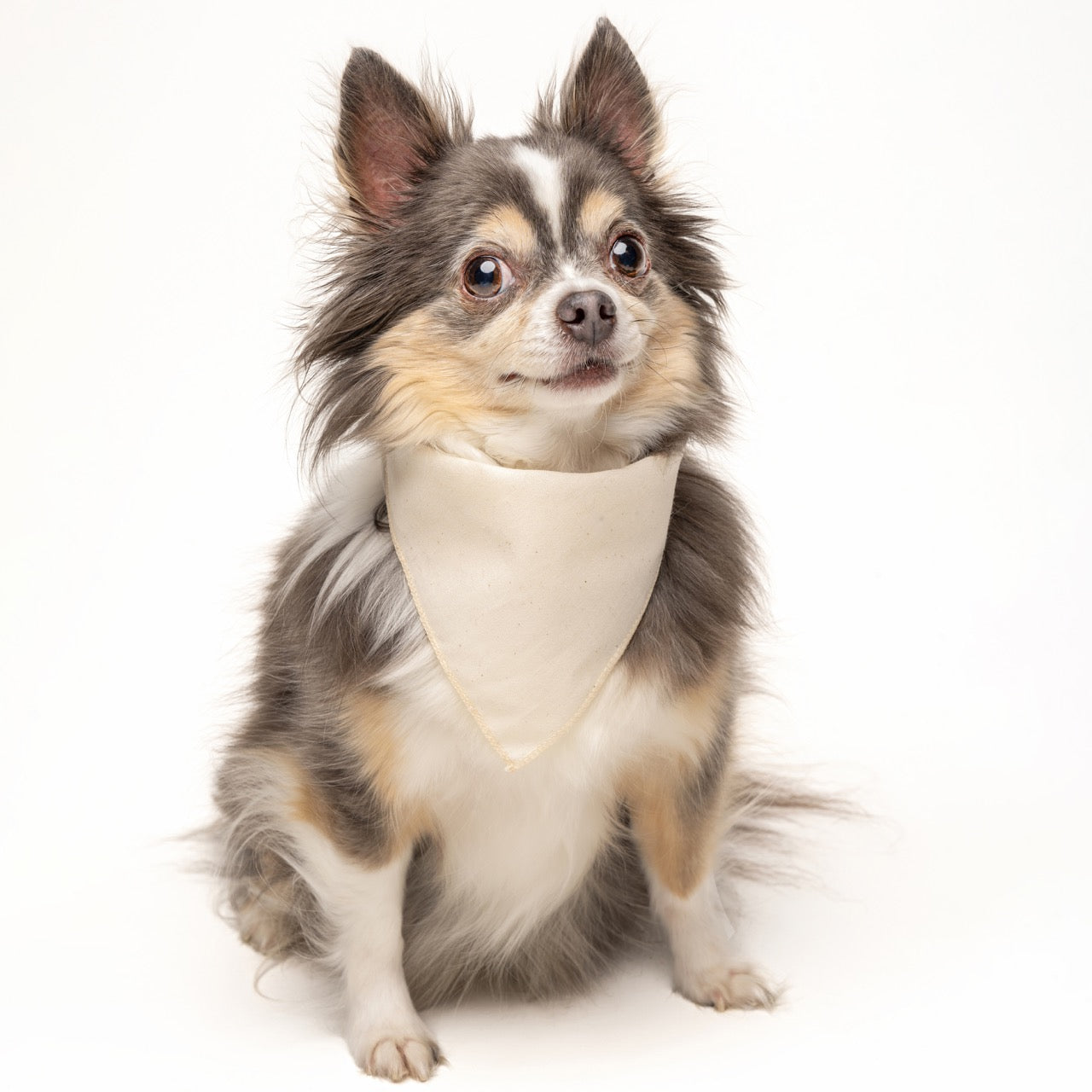 Natural Dog Bandana | 100% Cotton Blank | XS & One Size