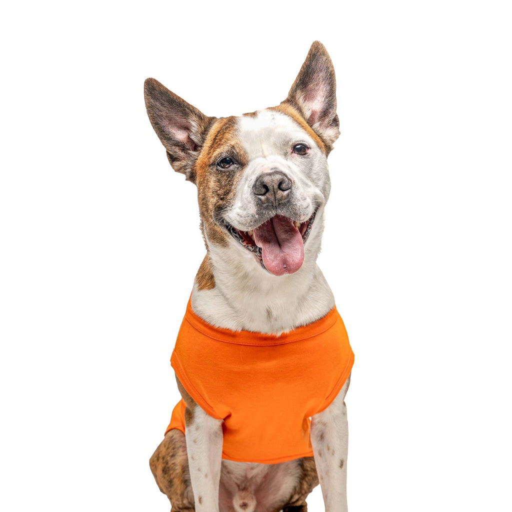 Orange Dog Tee Shirt | 100% Cotton Blank | XS-6XL
