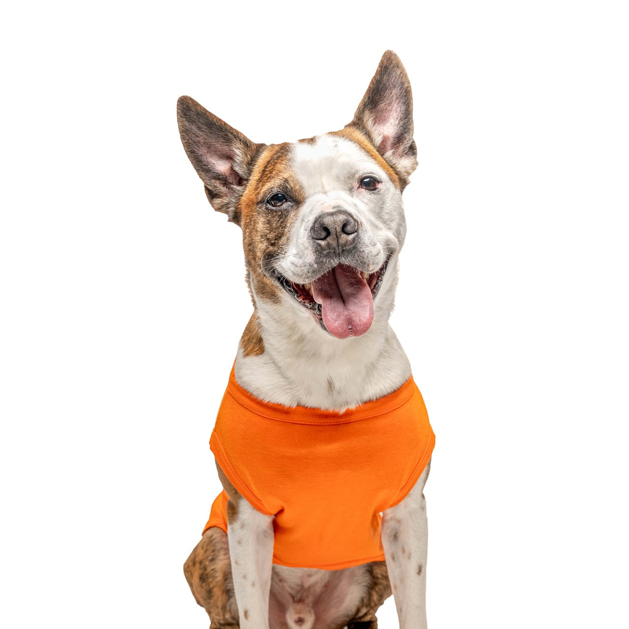 Orange Dog Tee Shirt | 100% Cotton Blank | XS-6XL