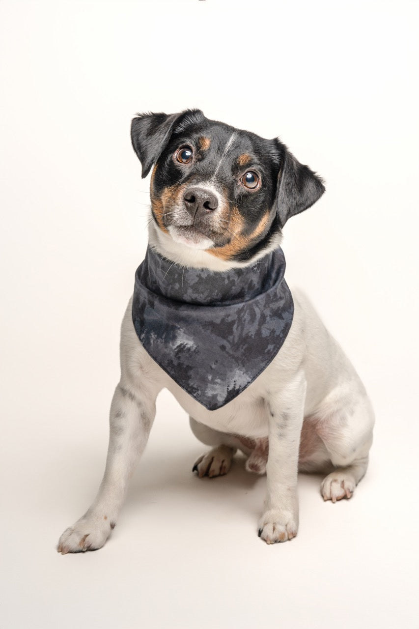 Black Tie-Dye Dog Bandana | 100% Cotton Blank | One Size