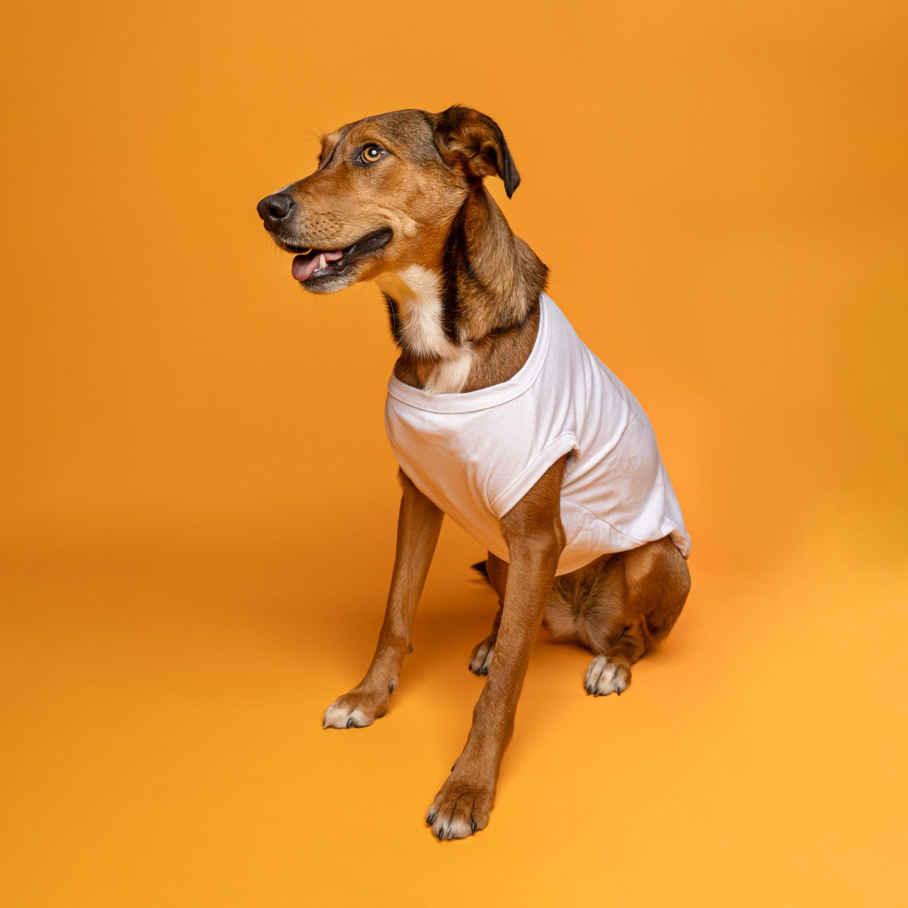 White Dog Tee Shirt | 100% Cotton Blank | XS-6XL